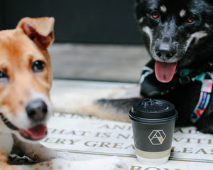 Pet Adoption Day at Happy Valley #AdoptDontShop - The Coffee Academics