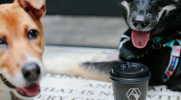 Pet Adoption Day at Happy Valley #AdoptDontShop - The Coffee Academics