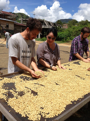 Specialty Coffee With A Purpose - The Coffee Academics
