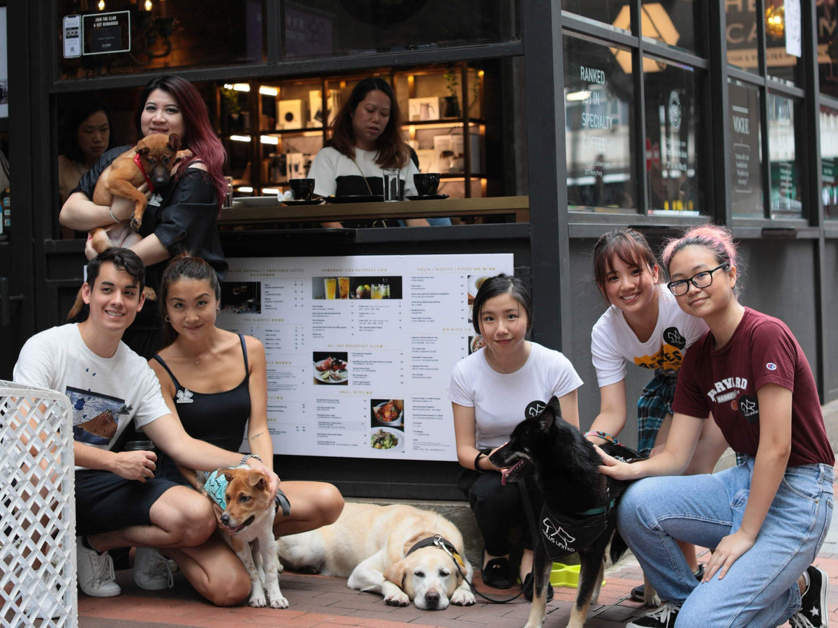 Pets Adoption Day at Causeway Bay The Coffee Academics