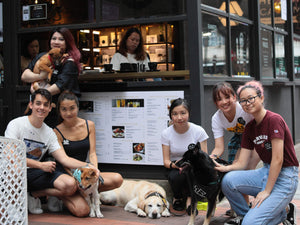 Pets Adoption Day at Causeway Bay #AdoptDontShop - The Coffee Academics