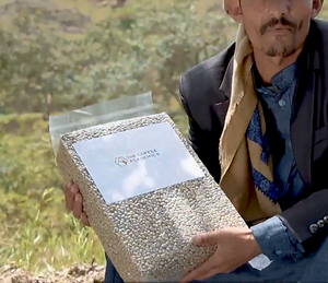Supporting Direct Trade: QIMA Yemen Auction Lot Acquisition - The Coffee Academics
