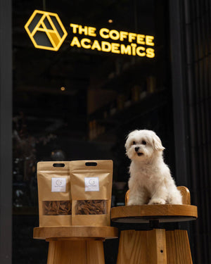 Limited Edition "Music & Paws" Charity Tote Bag + Woof Twisters Dog Treats - The Coffee Academics